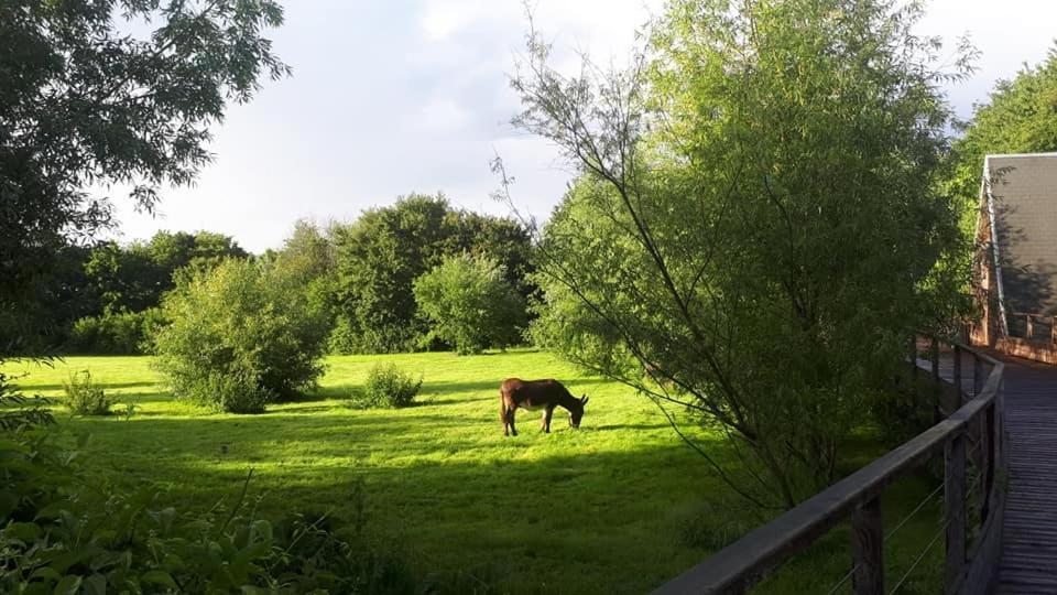 La Petite Motte Villa Ceton Eksteriør bilde